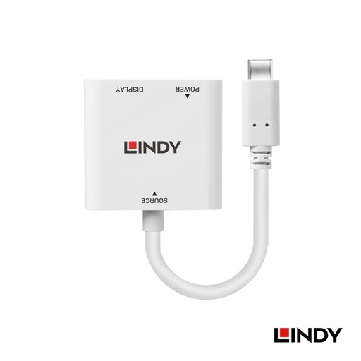 [43289] LINDY 林帝 主動式 USB 3.1 Type-C to DisplayPort 轉接器帶PD功能