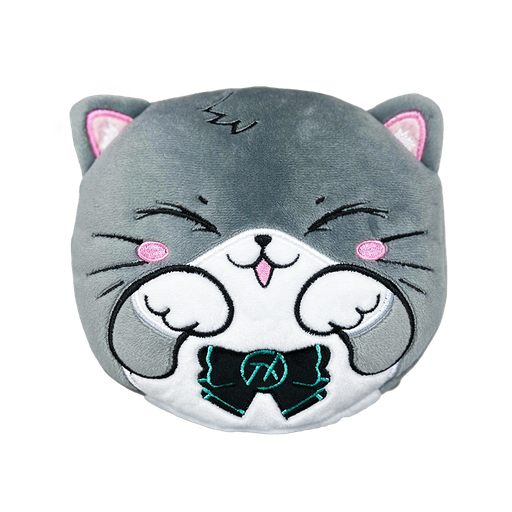 [UL96XSQYAT80CL] 華碩 天選貓咪老師頸枕